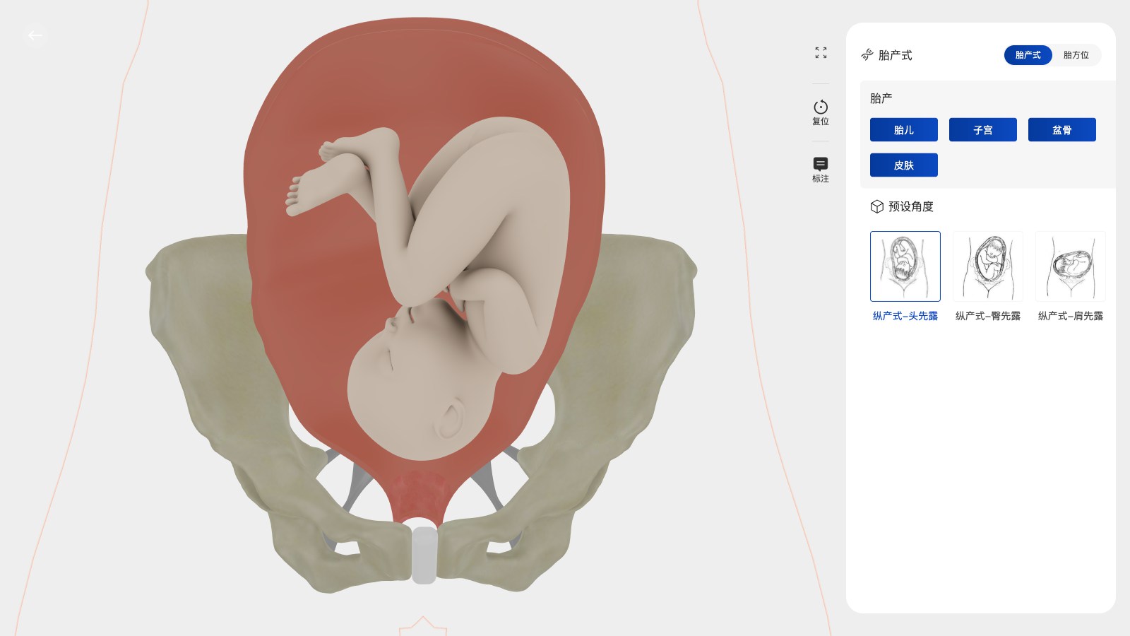 3D Medical Training Solutions for Interactive Learning